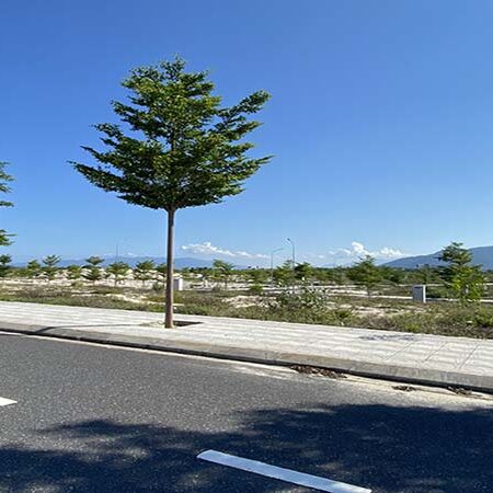 Mặt tiền Nguyễn Tất Thành Cam Ranh Citygate (5)