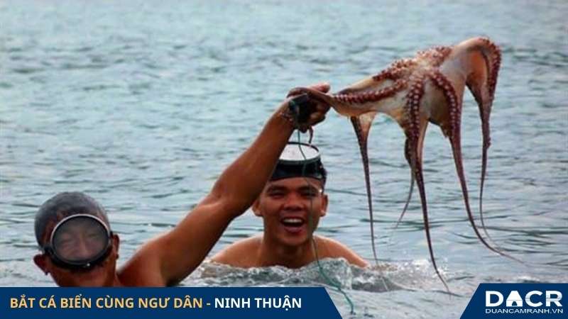 Bắt cá biển cùng ngư dân Ninh Thuận