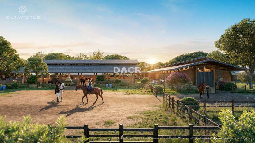 trường đua ngựa tại sông town